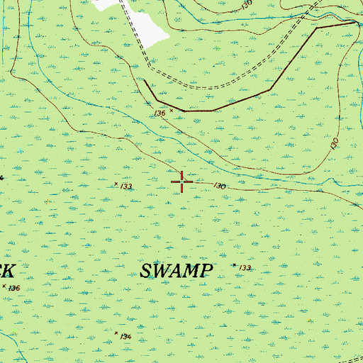 Topographic Map of Betty Neck Swamp, SC