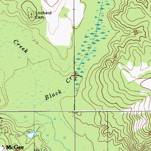 Topographic Map of Black Creek, SC