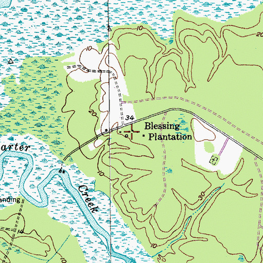 Topographic Map of Blessing Plantation, SC