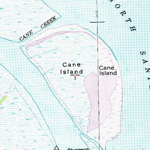 Topographic Map of Cane Island, SC