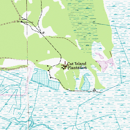 Topographic Map of Cat Island Plantation, SC