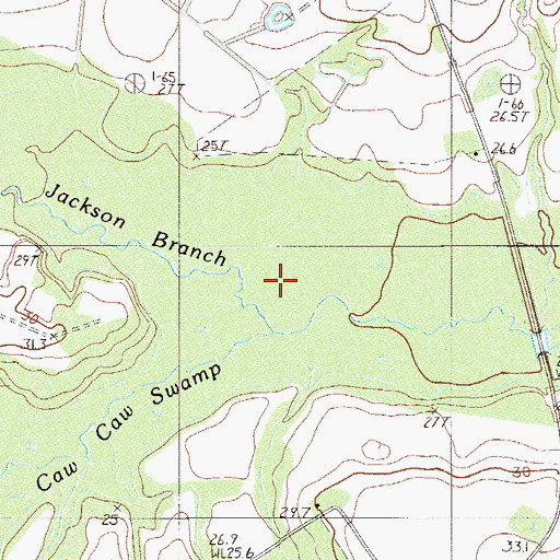 Topographic Map of Caw Caw Swamp, SC
