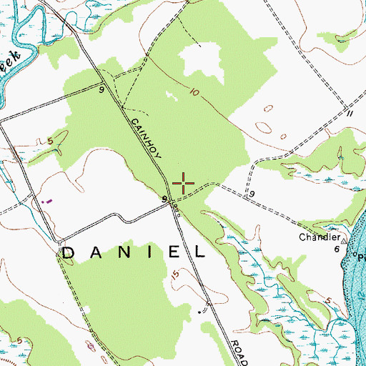 Topographic Map of Daniel Island, SC
