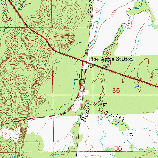 Topographic Map of Pine Apple Station, AL
