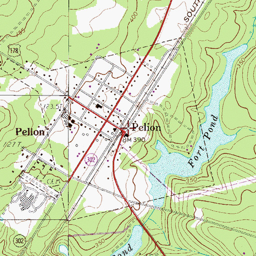 Topographic Map of Pelion, SC