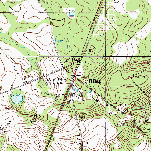 Topographic Map of Riley, SC