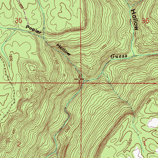 Topographic Map of Poplar Hollow, AL