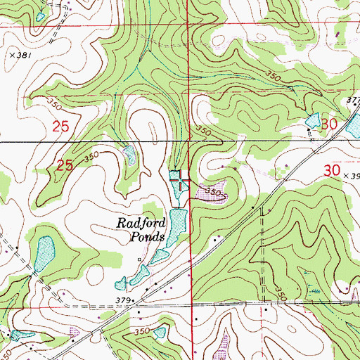 Topographic Map of Radford Ponds, AL