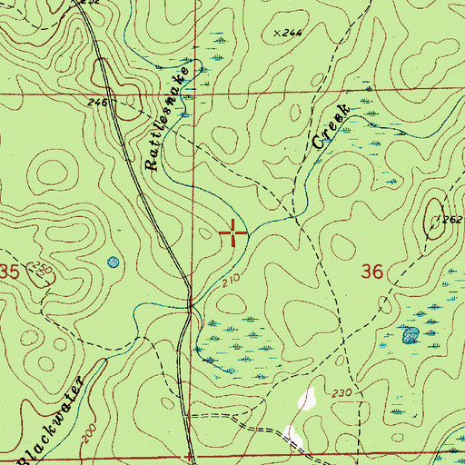 Topographic Map of Rattlesnake Branch, AL