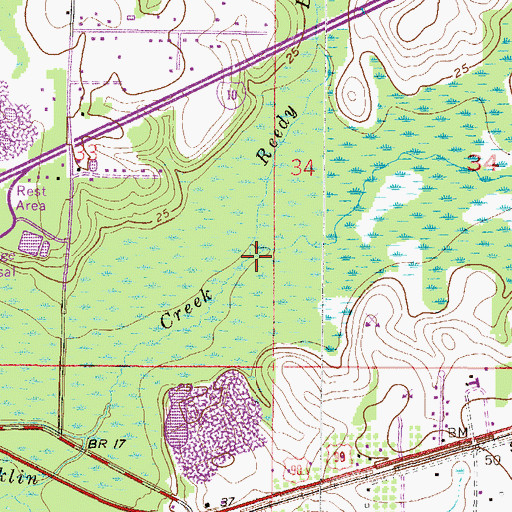 Topographic Map of Reedy Branch, AL