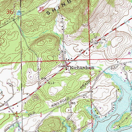 Topographic Map of Richardson, AL