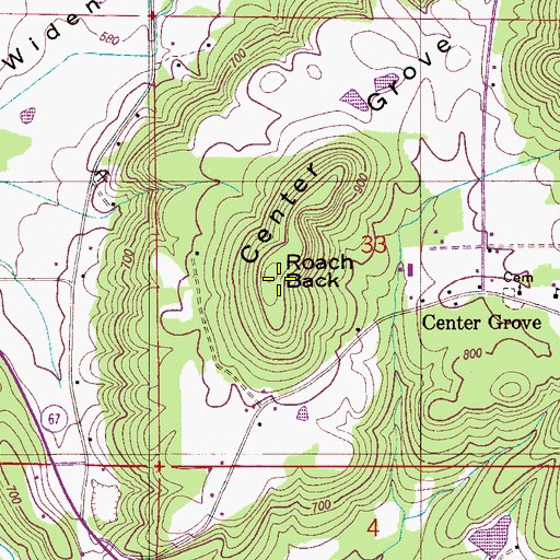 Topographic Map of Roach Back, AL