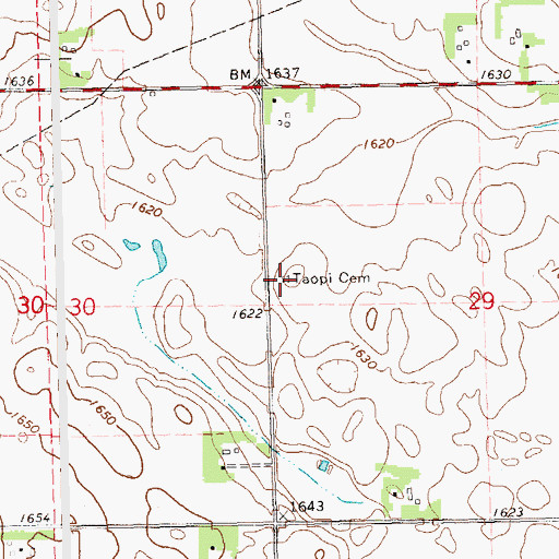 Topographic Map of Taopi Cemetery, SD