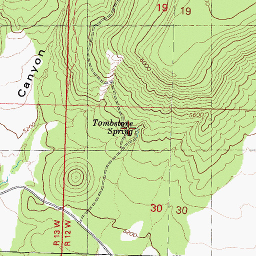 Topographic Map of Tombstone Spring, AZ