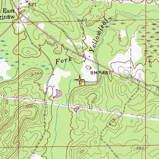 Topographic Map of Salster Branch, AL