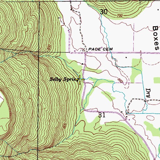 Topographic Map of Selby Spring, AL
