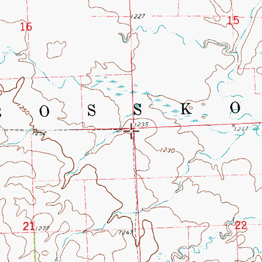 Topographic Map of Township of Bossko, SD