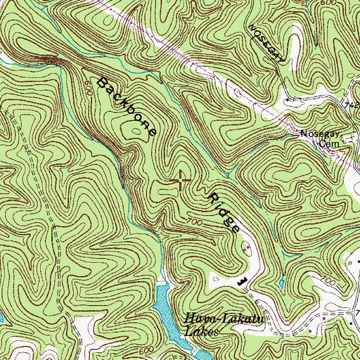 Topographic Map of Backbone Ridge, TN