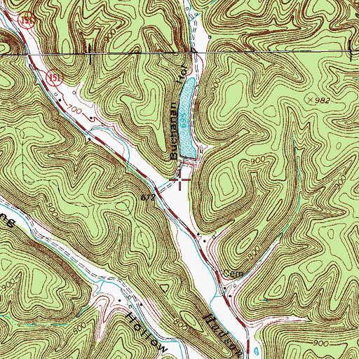 Topographic Map of Buchanan Hollow, TN