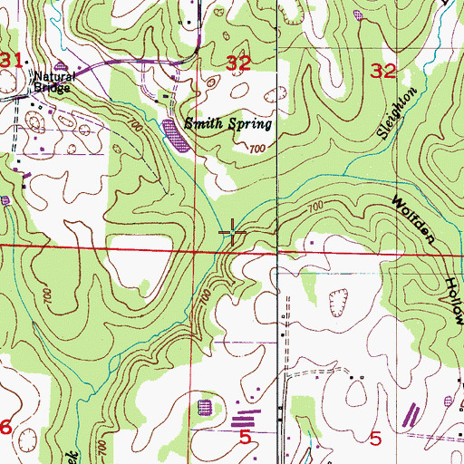 Topographic Map of Sleighton Branch, AL