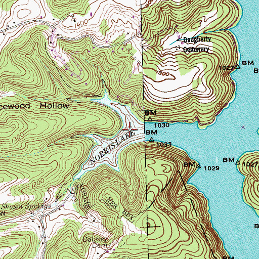 Topographic Map of Shown Hollow, TN