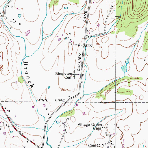 Topographic Map of Singleton Cemetery, TN