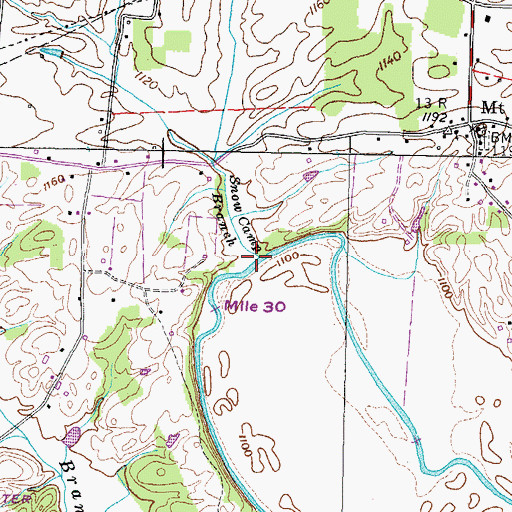 Topographic Map of Snow Camp Branch, TN