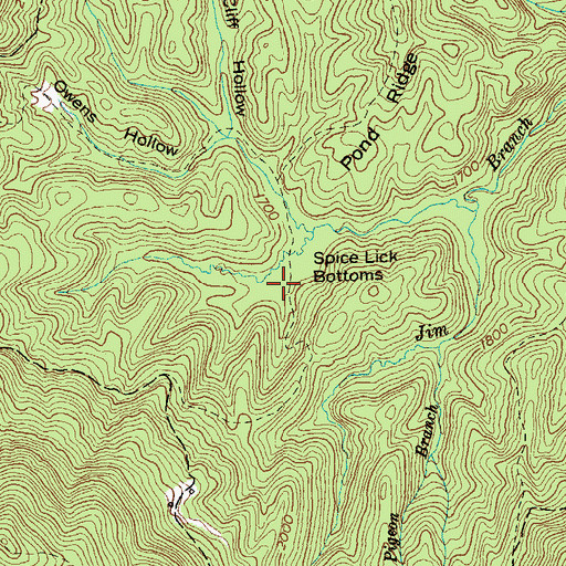 Topographic Map of Spice Lick Bottoms, TN