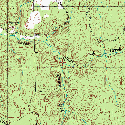Topographic Map of Spruce Lick Creek, TN