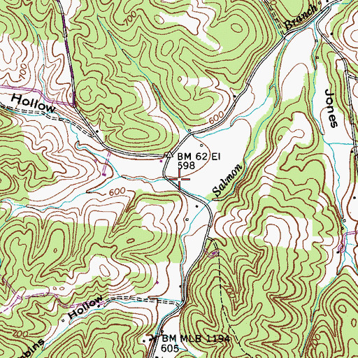 Topographic Map of Stanfield Hollow, TN