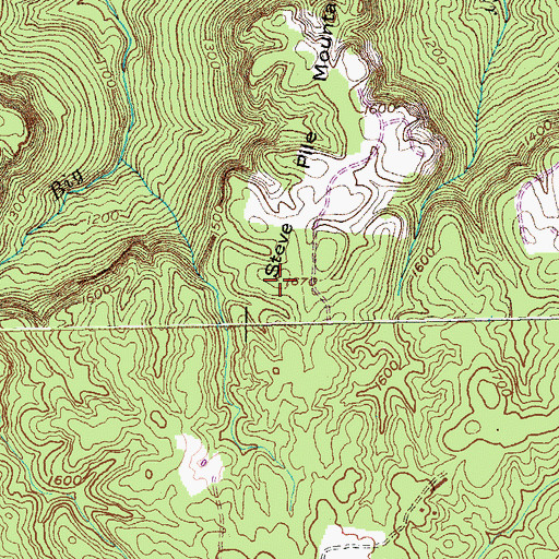 Topographic Map of Steve Pile Mountain, TN