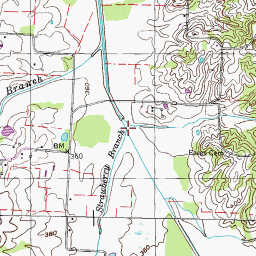 Topographic Map of Strawberry Branch, TN