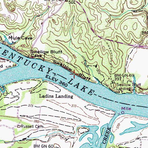 Topographic Map of Swallow Bluff, TN