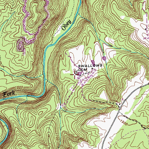 Topographic Map of Swallows Cemetery, TN