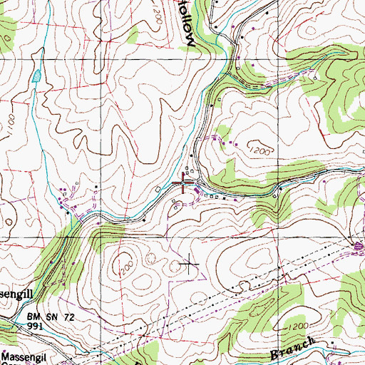 Topographic Map of Tate Hollow, TN