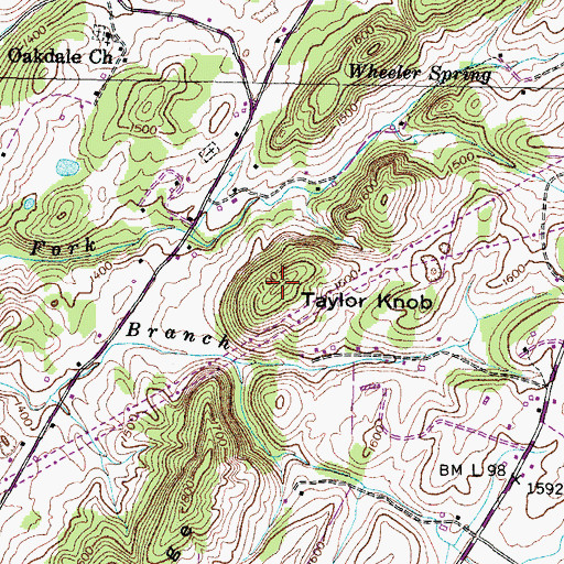Topographic Map of Taylor Knob, TN
