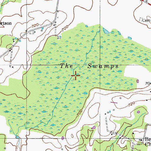 Topographic Map of The Swamps, TN