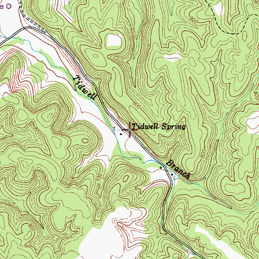 Topographic Map of Tidwell Spring, TN