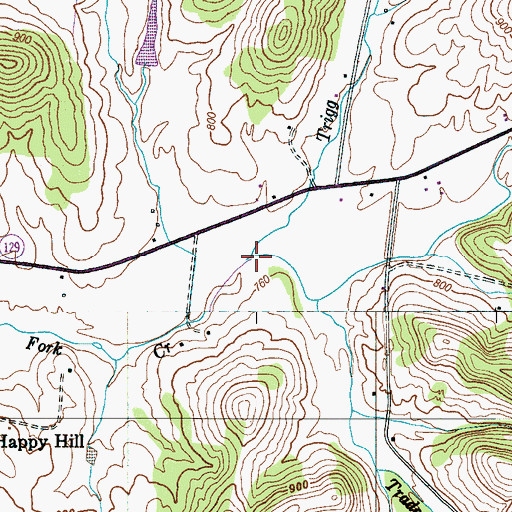 Topographic Map of Trigg Branch, TN