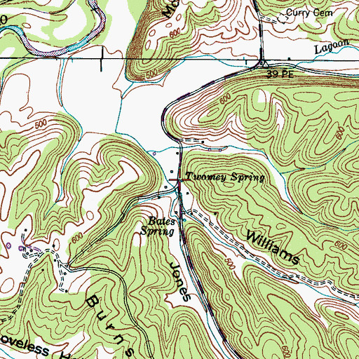 Topographic Map of Twomey Spring, TN