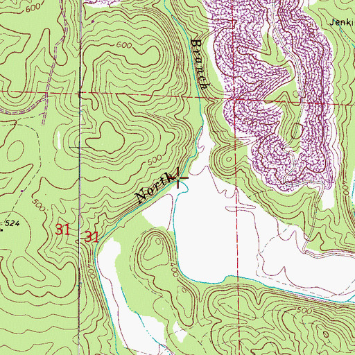 Topographic Map of Star Branch, AL