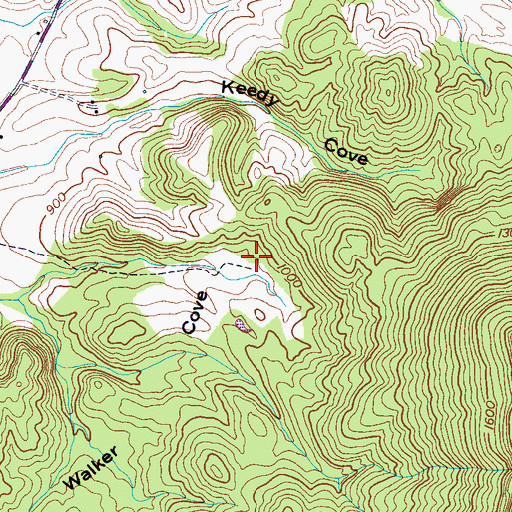 Topographic Map of Walker Cove, TN