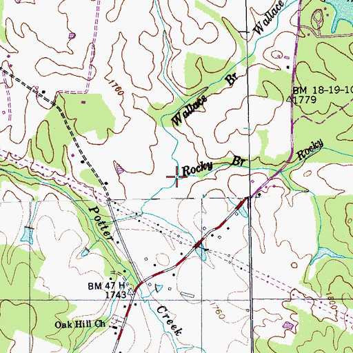 Topographic Map of Wallace Branch, TN