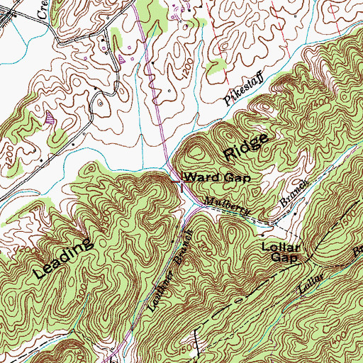 Topographic Map of Ward Gap, TN
