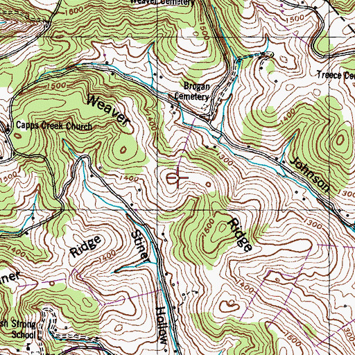 Topographic Map of Weaver Ridge, TN