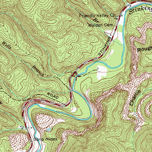 Topographic Map of Wells Branch, TN