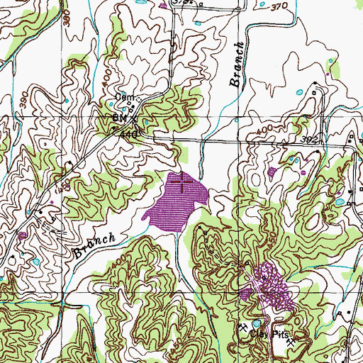 Topographic Map of West Branch, TN
