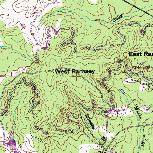 Topographic Map of West Ramsey, TN