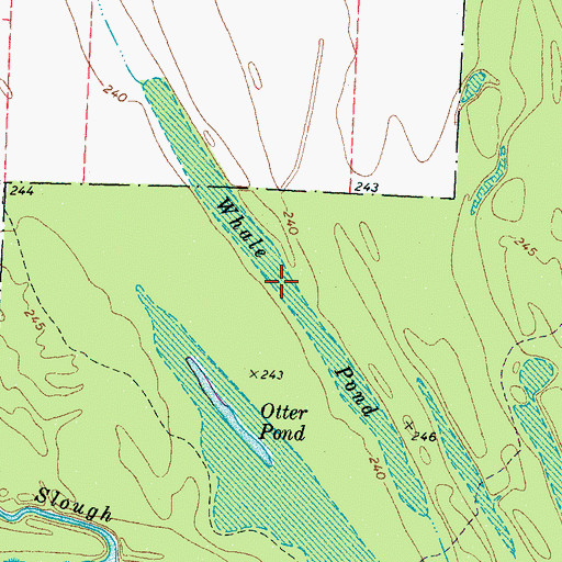 Topographic Map of Whale Pond, TN