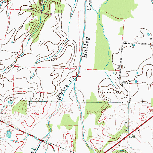 Topographic Map of White Creek, TN